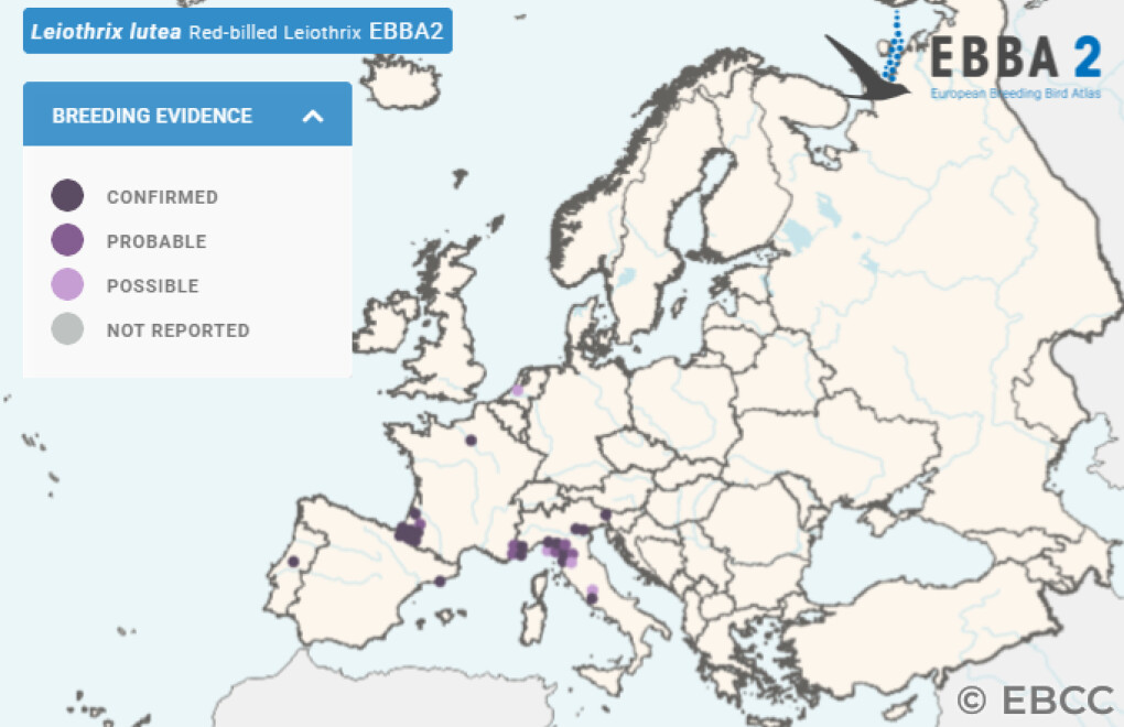 Mapa de Distribuição Europeia