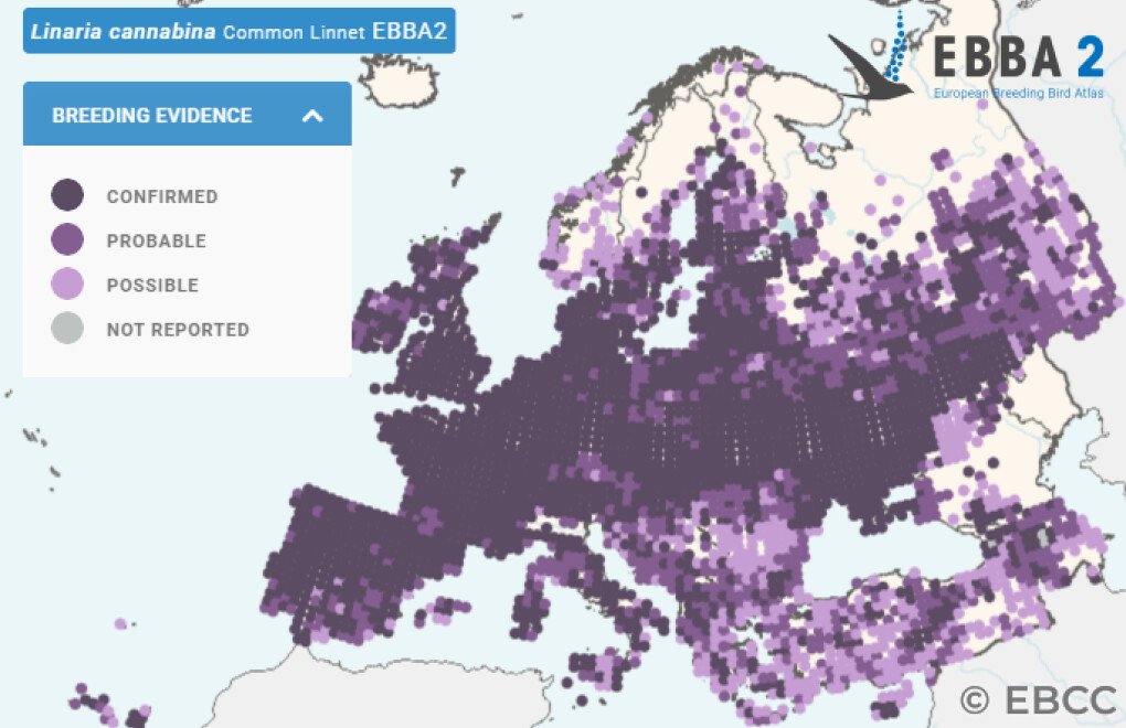 Mapa de Distribuição Europeia