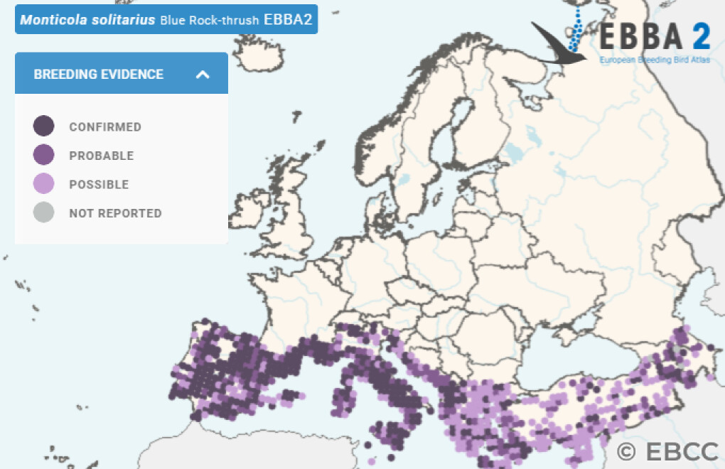 Mapa de Distribuição Europeia