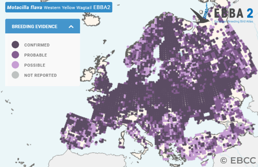 Mapa de Distribuição Europeia