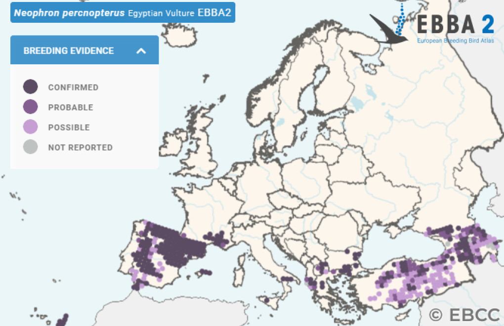 Mapa de Distribuição Europeia