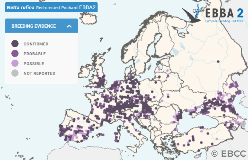 Mapa de Distribuição Europeia