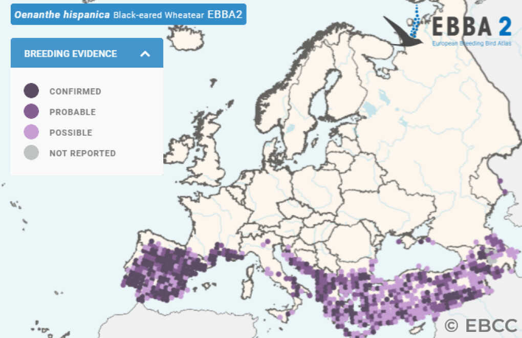 Mapa de Distribuição Europeia