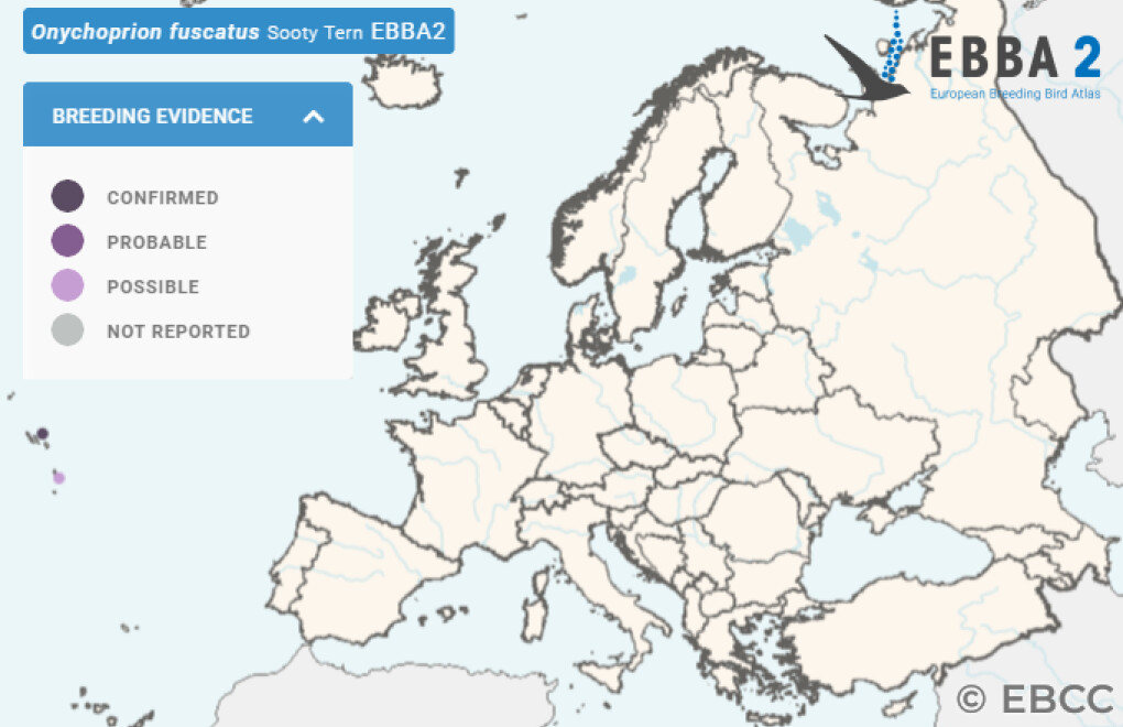 Mapa de Distribuição Europeia
