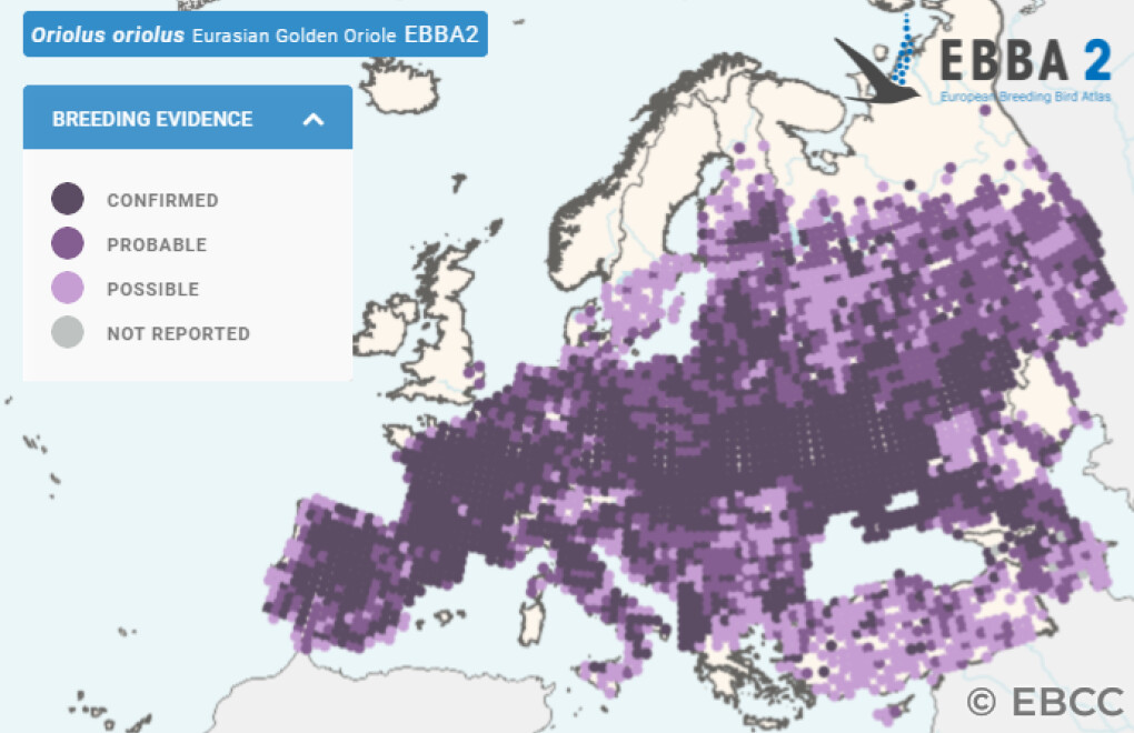 Mapa de Distribuição Europeia