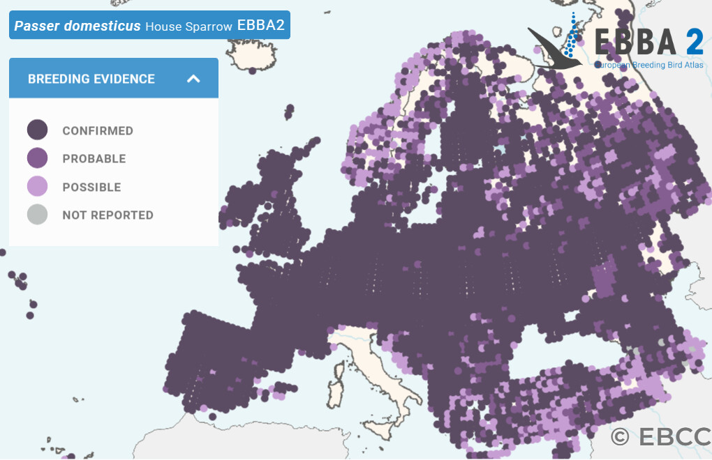 Mapa de Distribuição Europeia