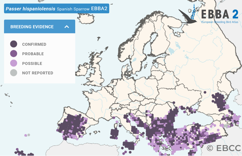 Mapa de Distribuição Europeia