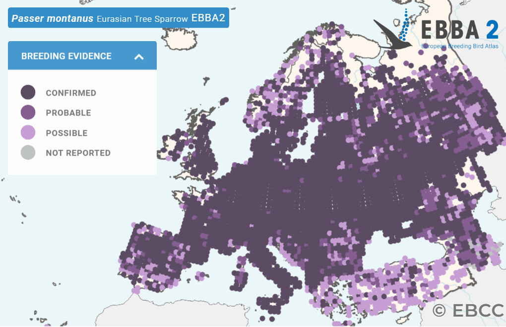 Mapa de Distribuição Europeia