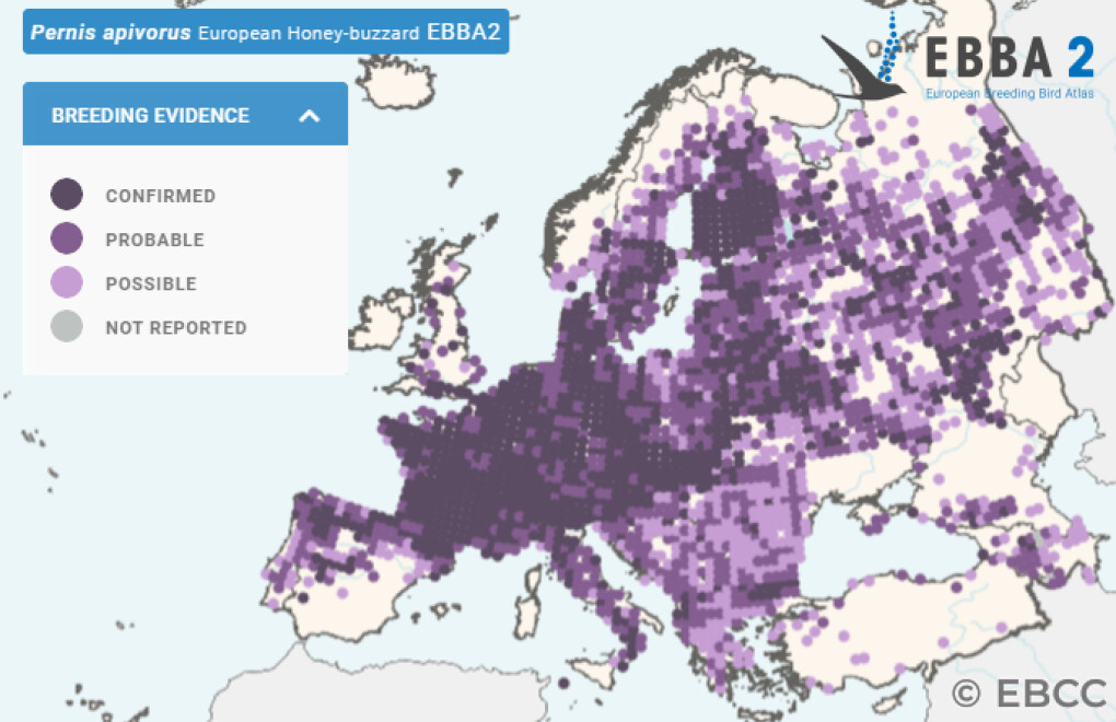 Mapa de Distribuição Europeia