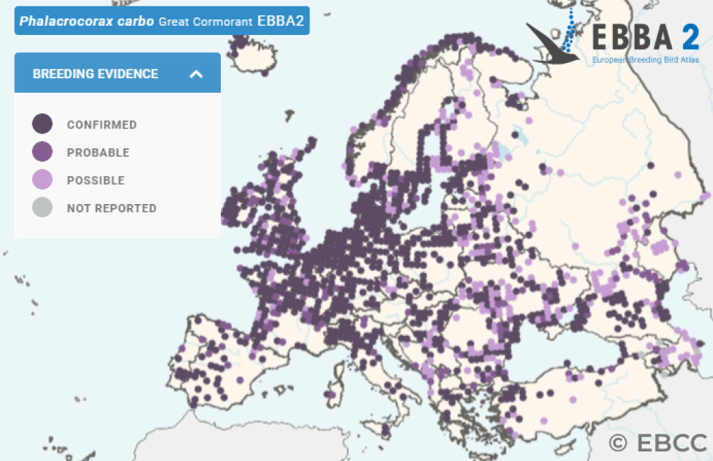 Mapa de Distribuição Europeia