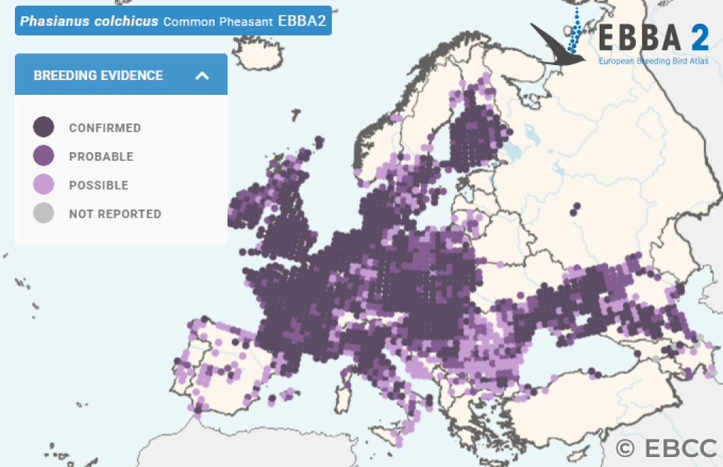 Mapa de Distribuição Europeia