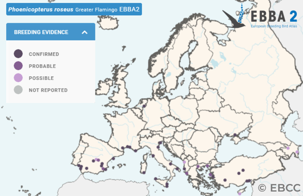 Mapa de Distribuição Europeia