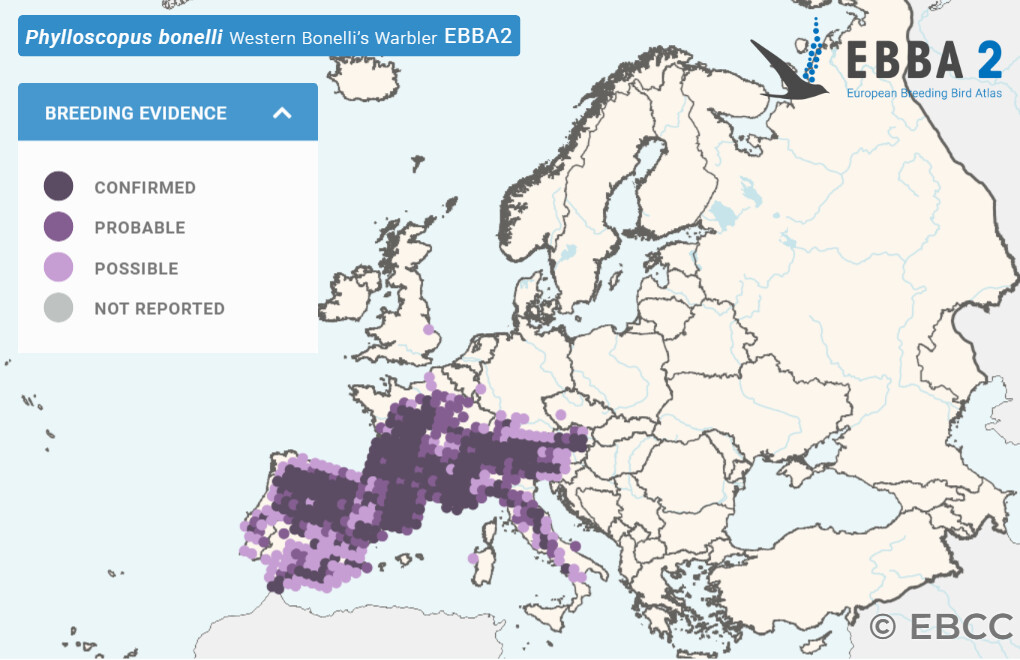 Mapa de Distribuição Europeia