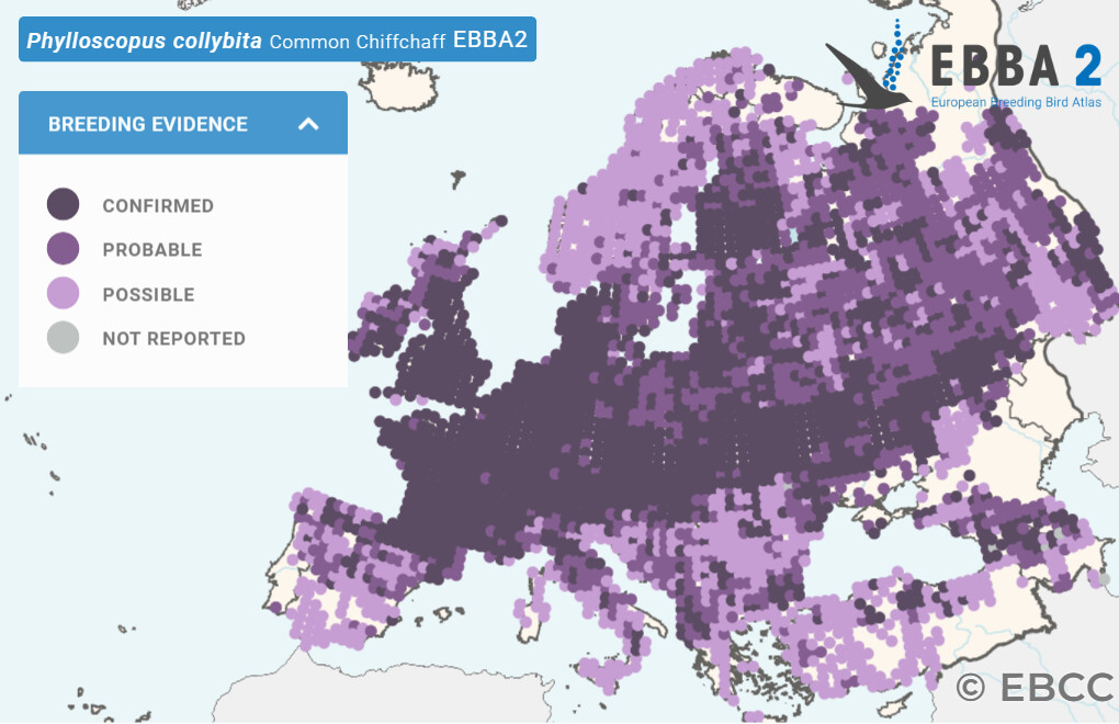 Mapa de Distribuição Europeia