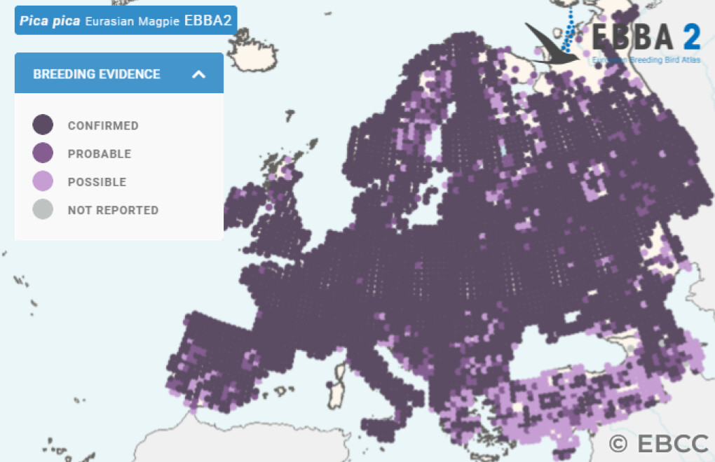 Mapa de Distribuição Europeia