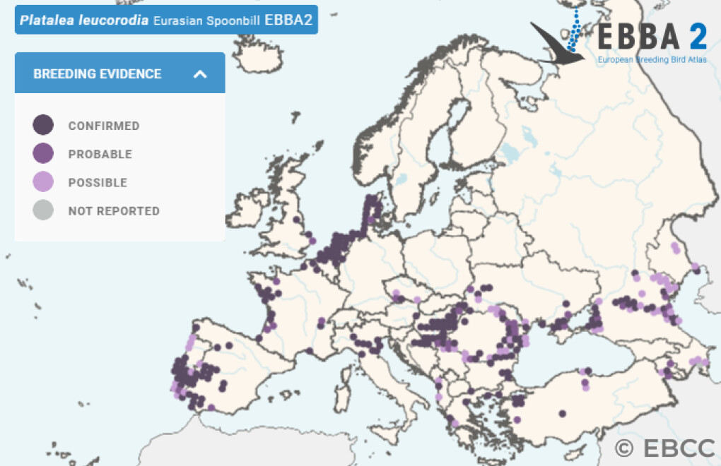 Mapa de Distribuição Europeia