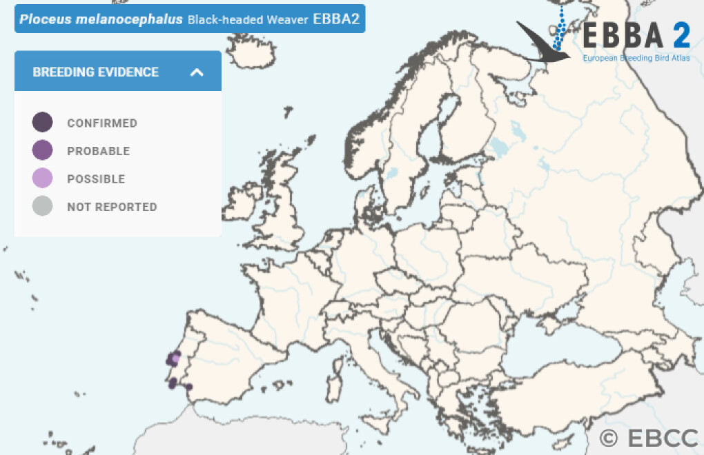 Mapa de Distribuição Europeia