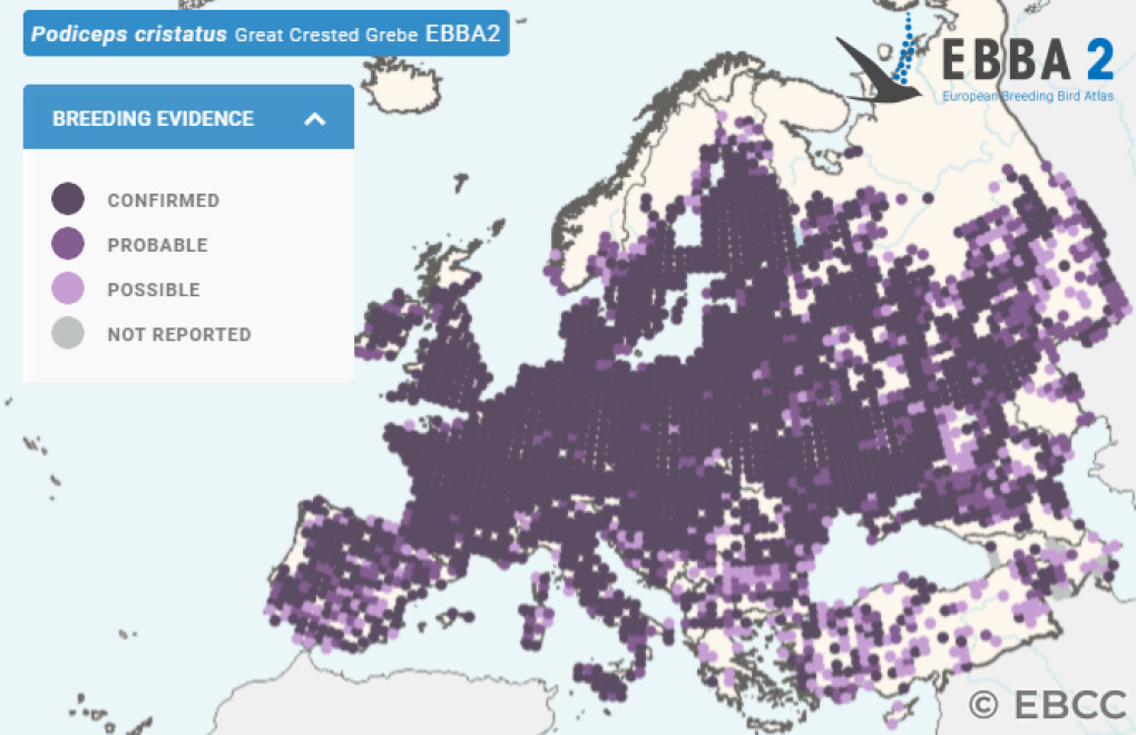 Mapa de Distribuição Europeia