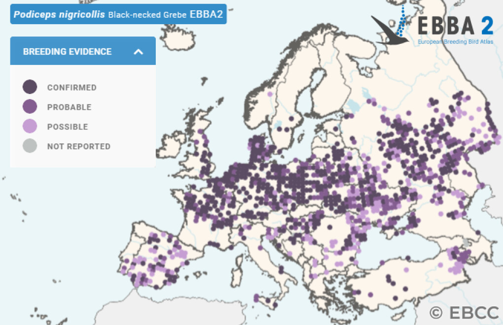 Mapa de Distribuição Europeia