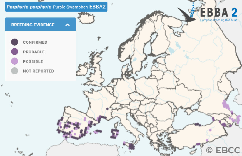 Mapa de Distribuição Europeia
