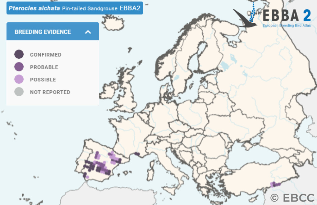 Mapa de Distribuição Europeia