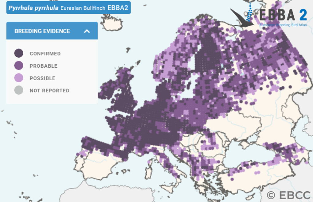 Mapa de Distribuição Europeia