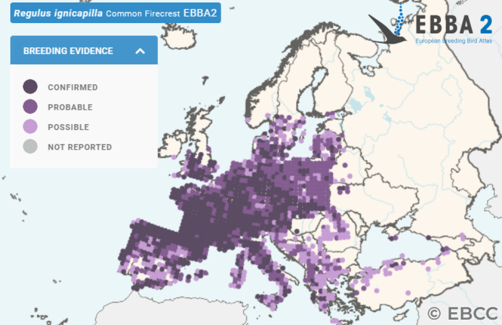 Mapa de Distribuição Europeia