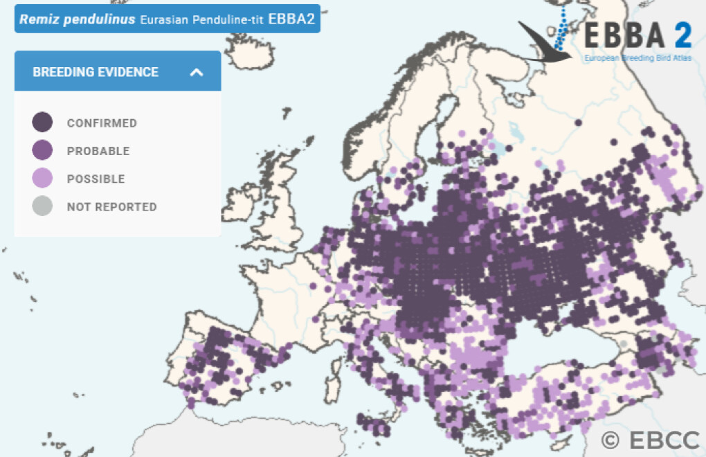 Mapa de Distribuição Europeia