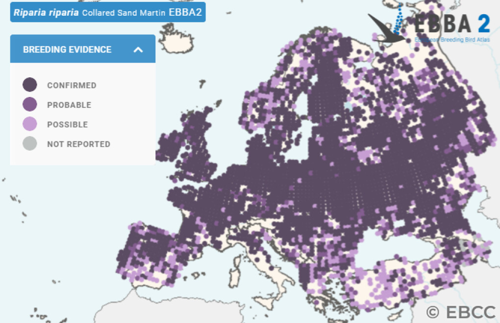 Mapa de Distribuição Europeia