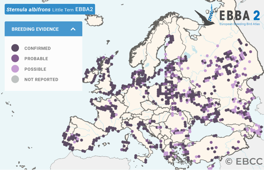 Mapa de Distribuição Europeia