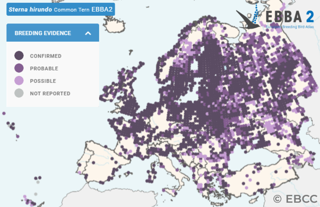 Mapa de Distribuição Europeia