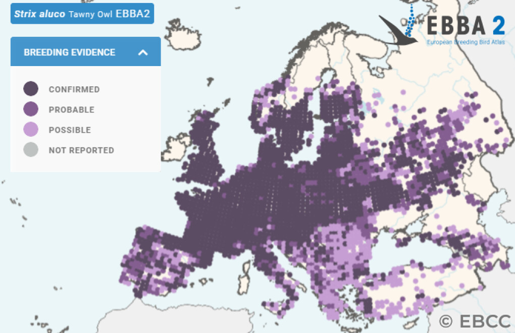 Mapa de Distribuição Europeia