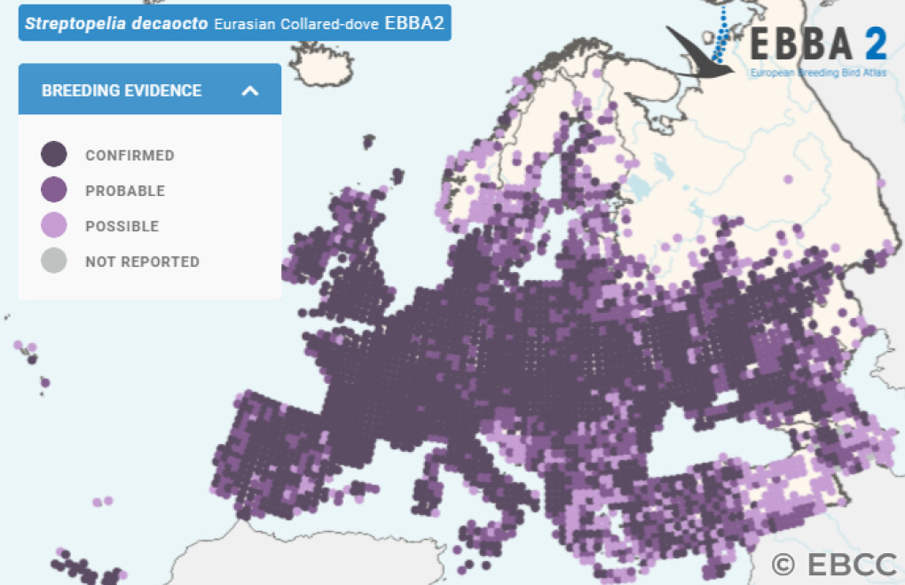 Mapa de Distribuição Europeia