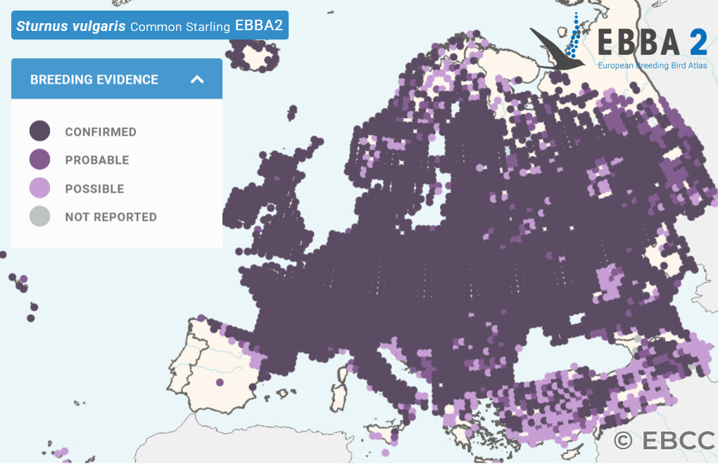 Mapa de Distribuição Europeia