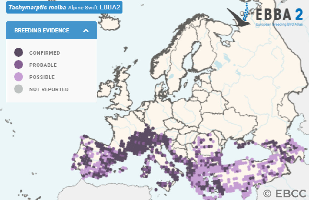 Mapa de Distribuição Europeia