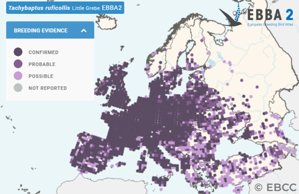 Mapa de Distribuição Europeia