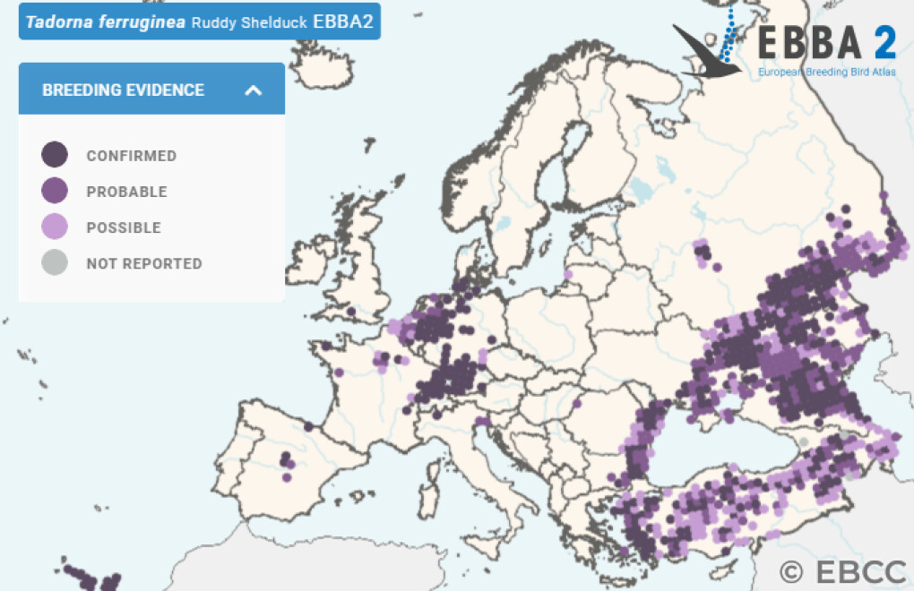Mapa de Distribuição Europeia