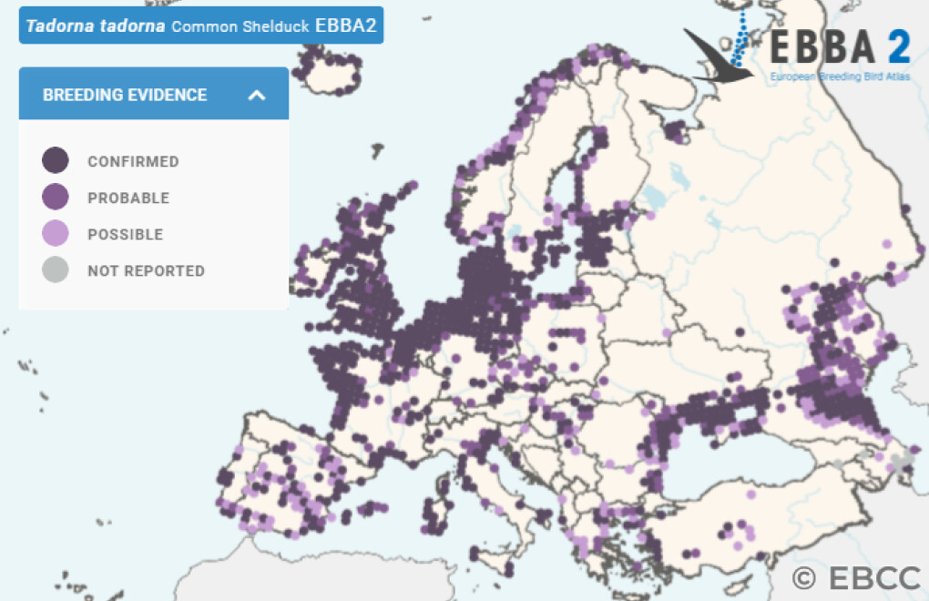 Mapa de Distribuição Europeia