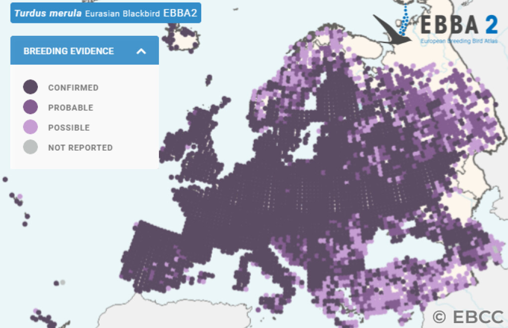 Mapa de Distribuição Europeia