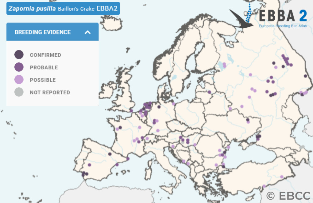 Mapa de Distribuição Europeia